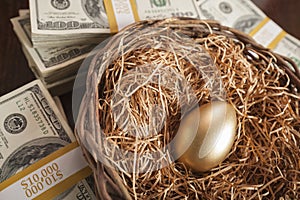 Golden Egg in Nest and Thousands of Dollars Surrounding