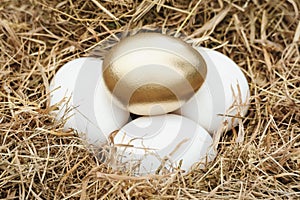 Golden egg in nest on top of white eggs, investment, retirement fund, insurance plan concept