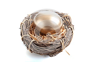 A Golden egg in nest on white background