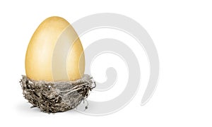 Golden egg in nest on white background