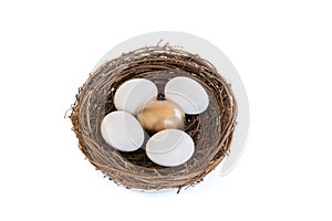 Golden Egg in Nest with White Eggs