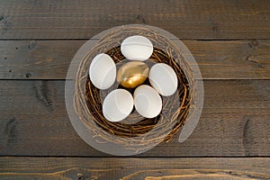 Golden Egg in Nest with White Eggs