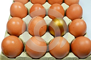 Golden Egg in with normal eggs.
