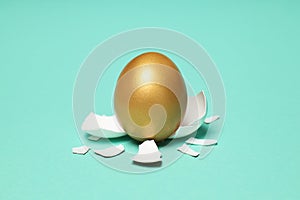 Golden egg, pension savings, investments and retirement