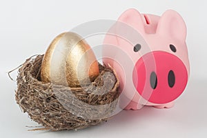 Golden egg, piggy bank and bird nest