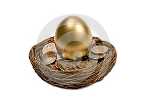 Golden Egg Standing In Nest Of Money