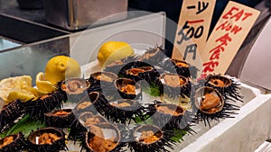 Golden egg urchin open and ready to eat in Kyoto fish market. Fresh uni seafood