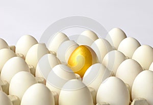 Golden egg among white eggs