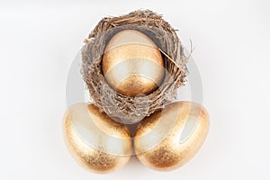 Golden eggs and bird nest