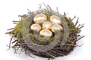 Golden eggs in bird nest over white
