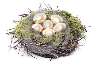 Golden eggs in bird nest over white