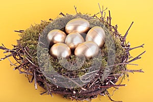 Golden eggs in bird nest over yellow