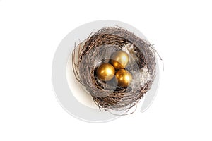 Golden eggs in a birds nest omn a white background