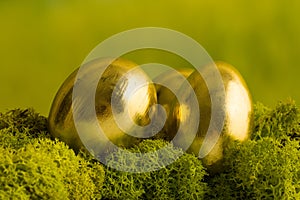 Golden eggs on moss