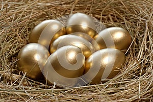 Golden eggs in nest