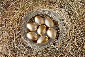 Golden eggs in nest