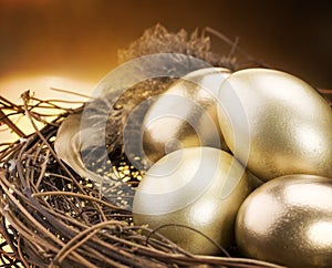 Golden Eggs in a Nest