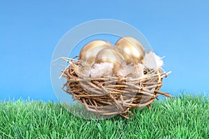 Golden eggs in nest