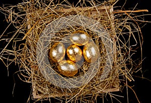 Golden eggs in a nest on black backgriound top view. Concept easter photo