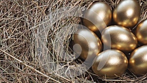 Golden eggs in nest. Golden eggs in close-up