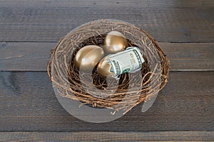 Golden eggs in nest with one egg cracked open with money