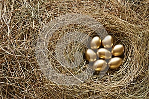 Golden eggs in nest. Straw Background