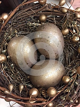 Golden eggs in nest