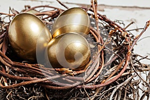 Golden eggs in nest