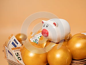 Golden eggs and piggy bank on money. Golden chicken eggs on euro banknotes and coins.