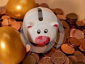 Golden eggs and piggy bank on money. Golden chicken eggs on euro banknotes and coins.