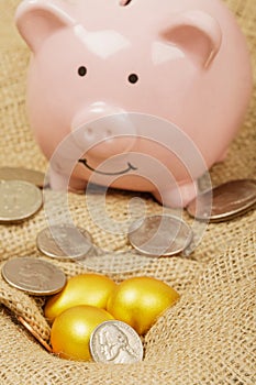 Golden Eggs representing, wealth, retirement, savings, etc with copy space
