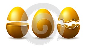 Golden eggshell illustration