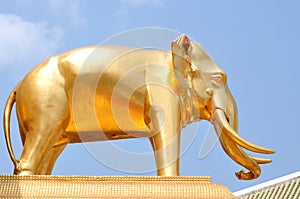 A golden elephant