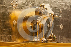 Golden Elephant Statue at Wat Phra Singh