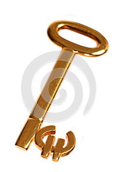 Golden euro key