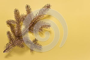 Golden evergreen branch on yellow background