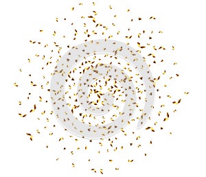 Golden explosion of confetti, glitter texture. Golden grainy abstract texture on a black transparent background. Design