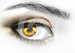 Zlatý oko 