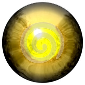 Golden eye with open pupil and bright yellow retina in background. Dark colorful iris around pupil, isolated eye.