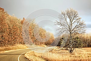 Golden fall color along an empty winding road in Autumn.