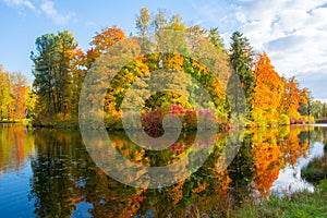 Golden fall mellow autumn in Pavlovsky park, Pavlovsk, Saint Petersburg, Russia