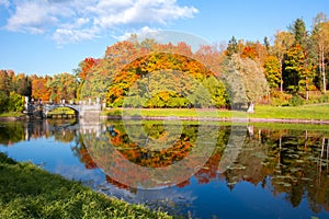 Golden fall mellow autumn in Pavlovsky park, Pavlovsk, Saint Petersburg, Russia