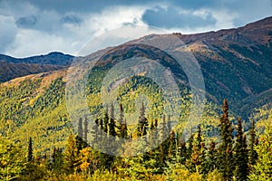 Golden fall scenic view of Denali national park at sunset