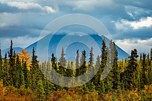 Golden fall scenic view of Denali national park at sunset