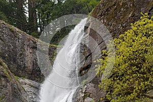 Golden Falls at Golden and Silver Falls State Natural Area, Oregon, USA