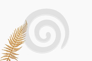 Golden fern leaf over white background. Copy space