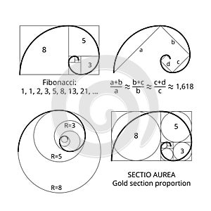 Golden fibonacci ratio spirals. Gold section proportion vector visualization