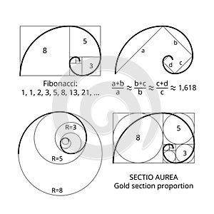Golden fibonacci ratio spirals. Gold section proportion vector visualization photo