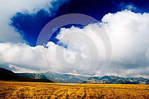 Golden field and cloudy sky