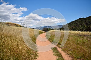 Trail through a field going back toward mountains